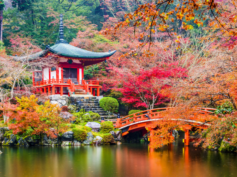8 Popular Fall Activities In Japan Nihongo Master